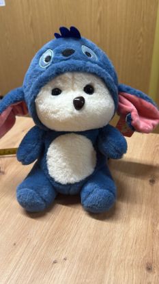 Bild von Stofftier Bär Stitch