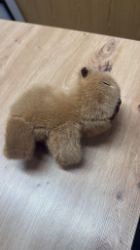 Picture of Stofftier Klammertier Capybara