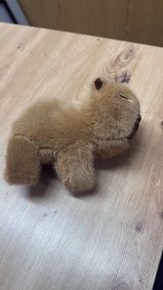 Bild von Stofftier Klammertier Capybara