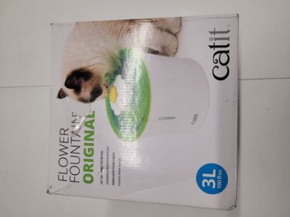 Bild von Katzen Trinkbrunnen