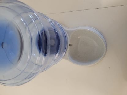 Bild von Wasserspender Haustiere