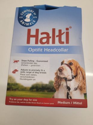 Bild von HALTI Kopfband