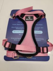 Bild von Hundegeschirr