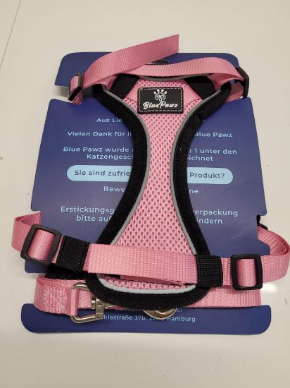 Bild von Hundegeschirr