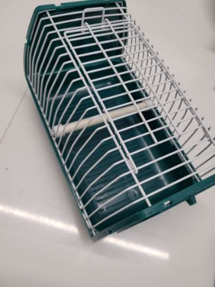 Bild von Vogel Transportbox
