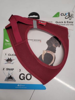 Bild von Hundegeschirr