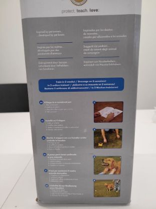 Bild von Hunde Rückhaltesystem