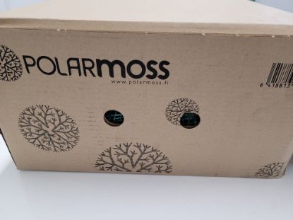 Bild von Trockenmoos