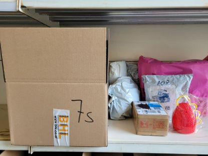 Bild von Überraschungs Paket 7s