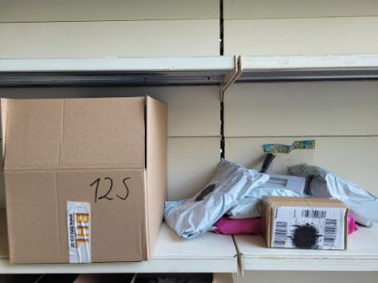 Bild von Überraschungs Paket 12s