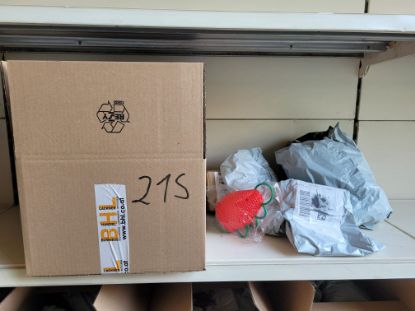 Bild von Überraschungs Paket 21s