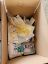 Picture of Karton mit Mixwaren A B C Nr. 25