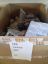 Picture of Mix Palette A B C 31