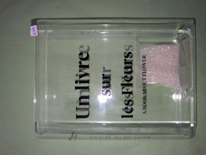 Picture of Blumenvase mit Kugeln zum bewässern