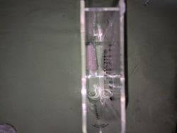 Bild von Blumenvase mit Kugeln zum bewässern