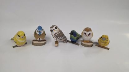 Picture of Vogel-Set