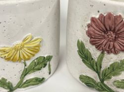 Bild von zwei charmanten Pflanztöpfen