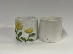 Bild von zwei charmanten Pflanztöpfen