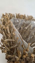 Picture of Dekorativer Pflanzkorb