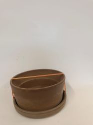 Bild von  Rustikale Terrakotta-Pflanzschale