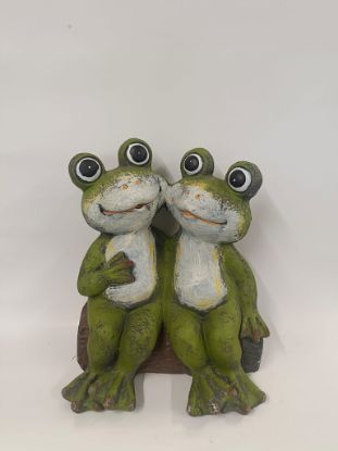 Picture of Bezauberndes Frosch-Paar