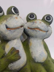 Picture of Bezauberndes Frosch-Paar