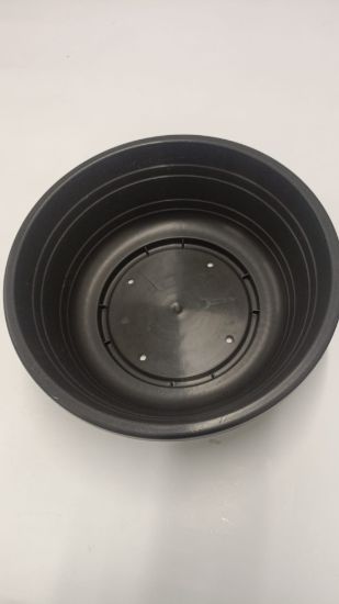 Bild von runde Pflanzschale